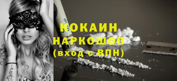 твердый Лагань