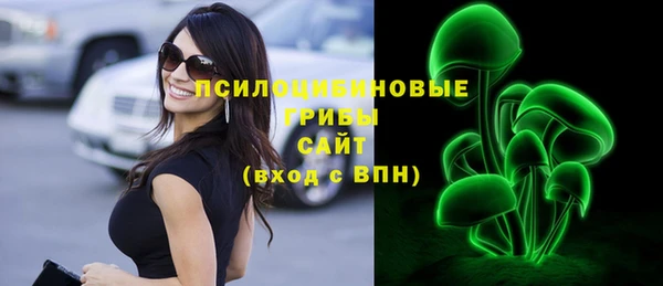 твердый Лагань