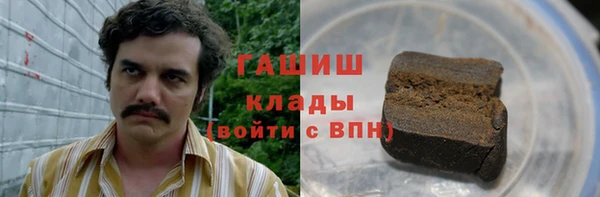 твердый Лагань