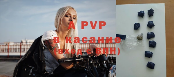 твердый Лагань