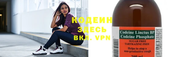 твердый Лагань