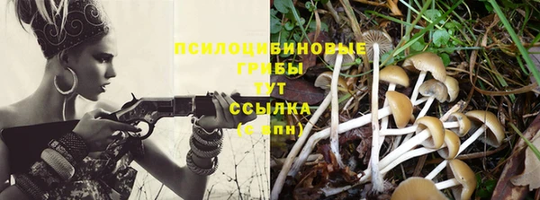 твердый Лагань