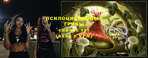твердый Лагань