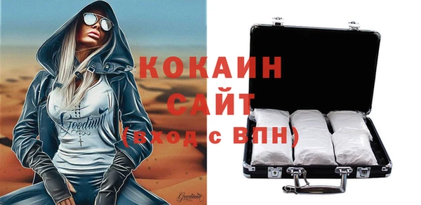 твердый Лагань