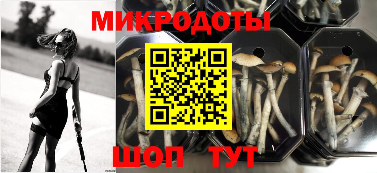 Псилоцибиновые грибы MAGIC MUSHROOMS  Галлюциногенные грибы мицелий  Сунжа  Вход с VPN 