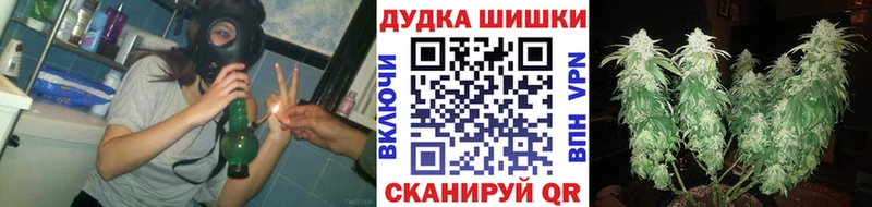 цены   Сунжа  Бошки марихуана гибрид 